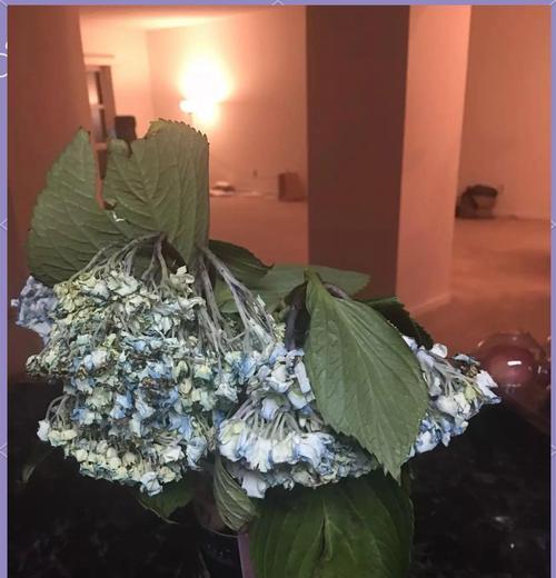 水中添加什么物质对植物生长有益？
