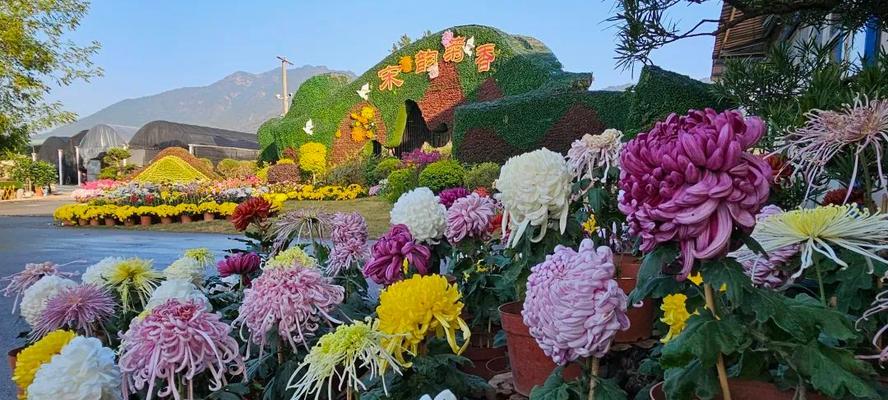 花海通常由哪些品种组成？如何打造壮观的花海景观？