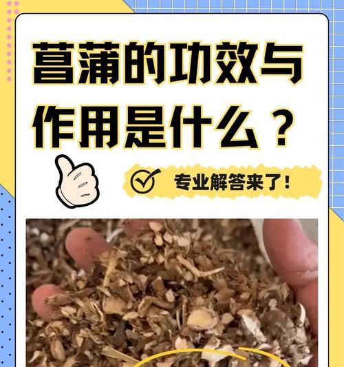 菖蒲有什么作用？菖蒲在园艺和文化中的意义是什么？