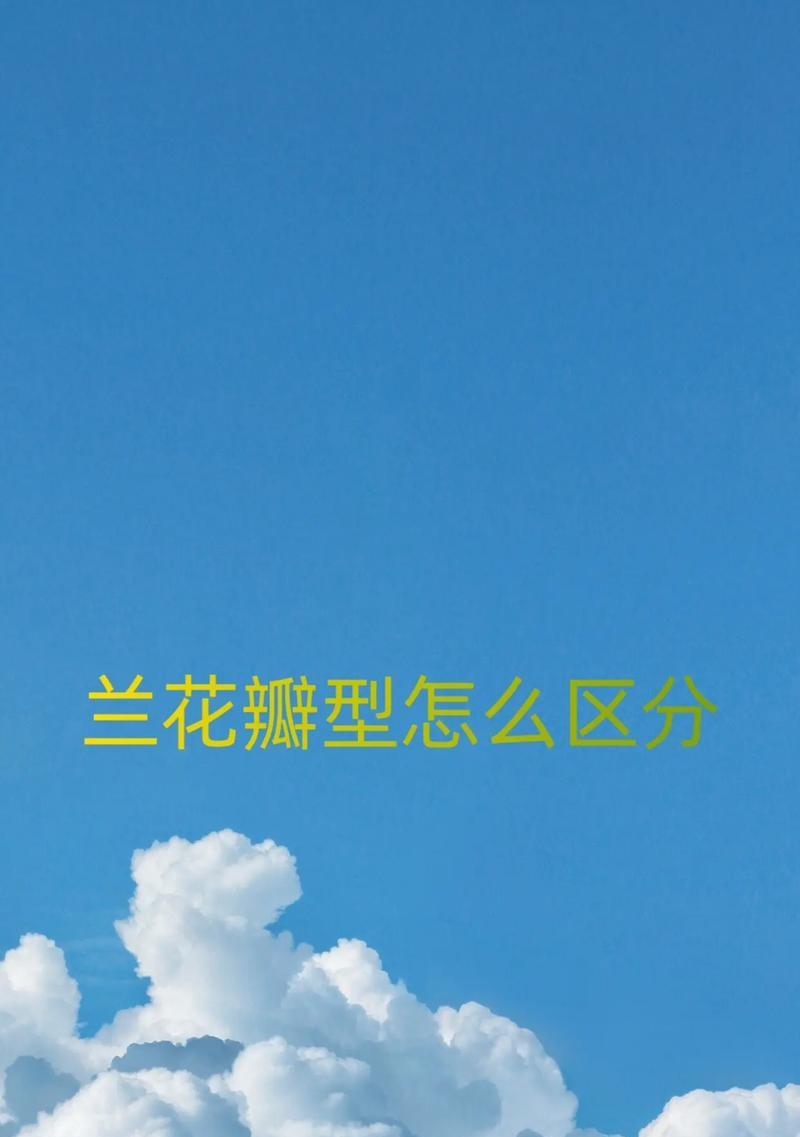 兰花珍贵品种有哪些？如何鉴别兰花的品质？