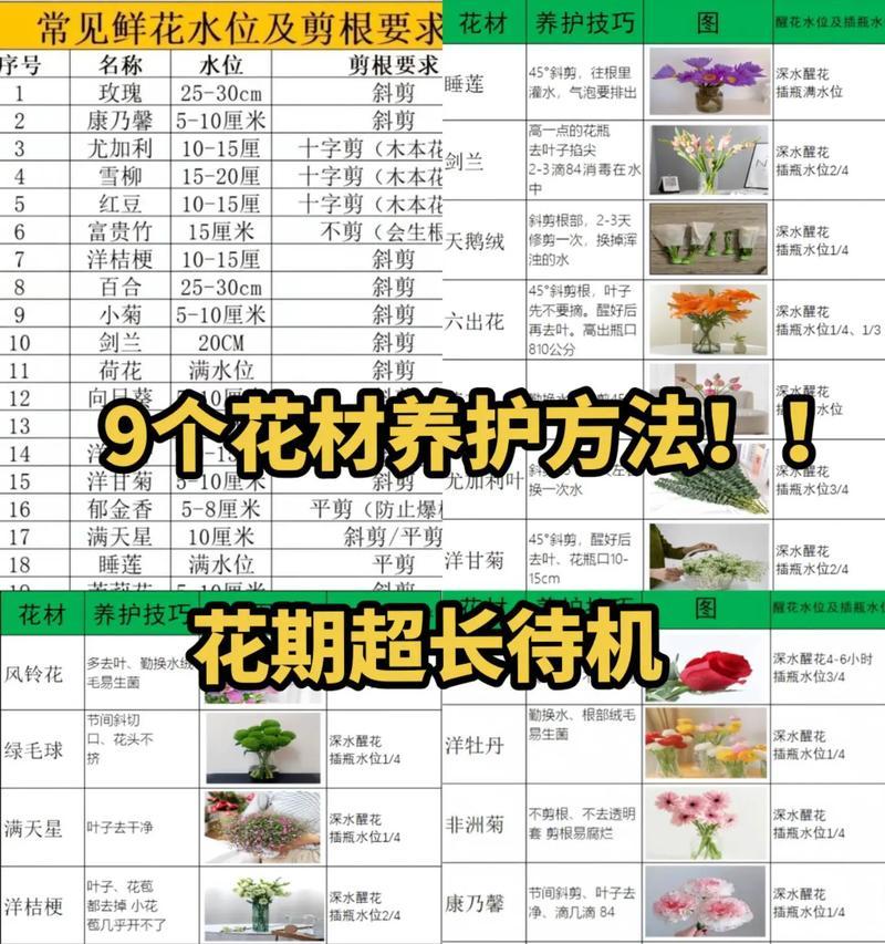 国王花卉的养殖方法是什么？
