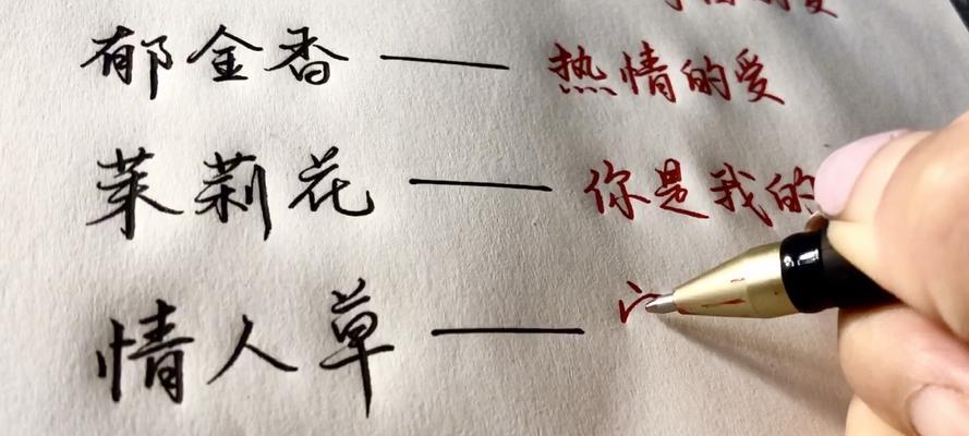 紫色的叶草有哪些？它们的养护要点是什么？