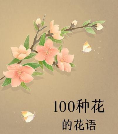 紫色的叶草有哪些？它们的养护要点是什么？