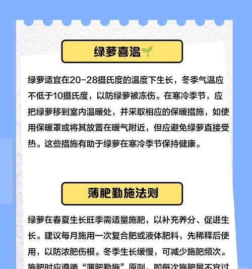 绿萝快速生长秘诀：怎样促进绿萝快速生长？