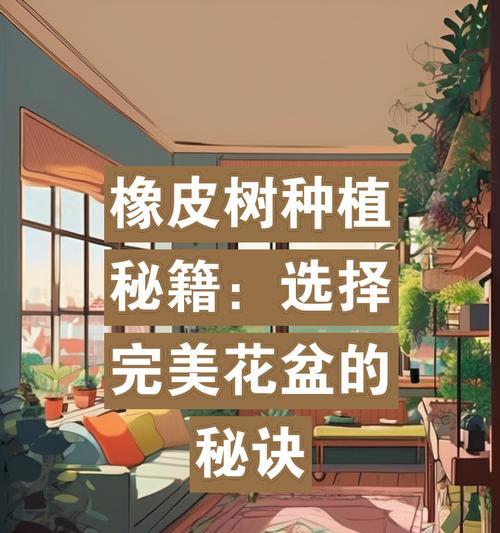 橡皮树适合哪种土壤？如何为橡皮树选择最佳土壤？