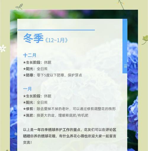 绣球花移植需要注意哪些事项？
