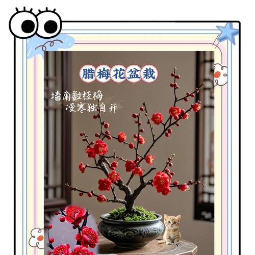 腊梅浇水技巧有哪些？怎样正确给腊梅浇水？