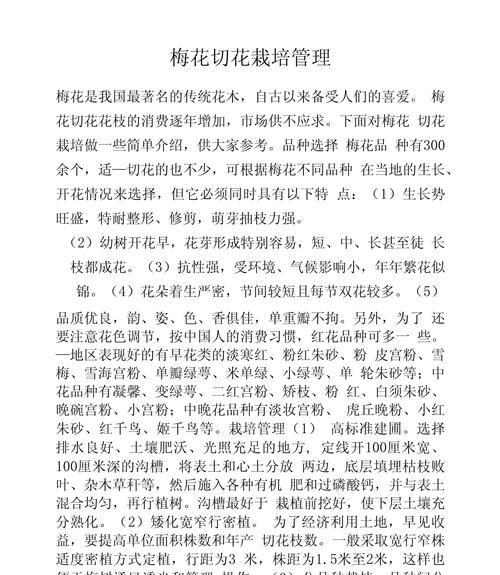 梅花的养护方法和常见问题是什么？