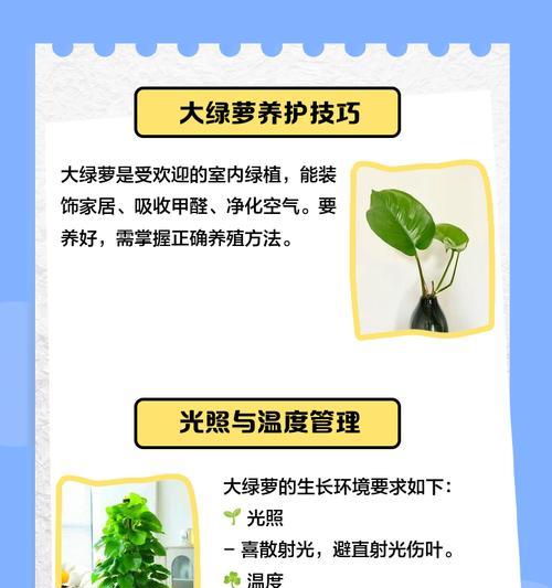 绿萝叶子怎么剪？修剪技巧和注意事项有哪些？