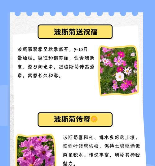 波斯菊品种有哪些？波斯菊品种的种植要点是什么？