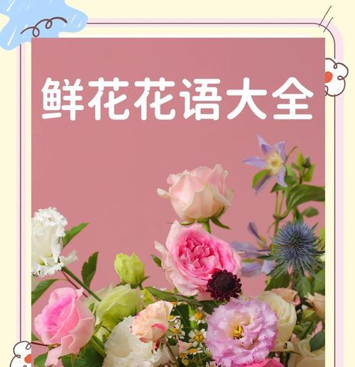 珍珠橙繁殖的技巧和步骤是什么？