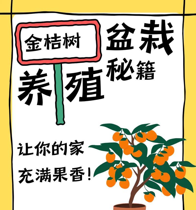 金橘种子种植的步骤是什么？