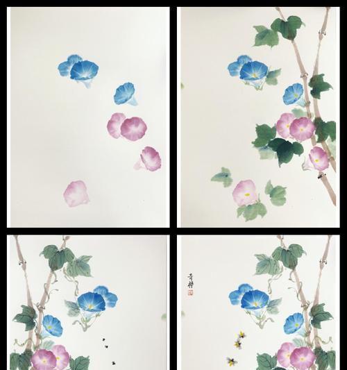 青柠花的特性及其用途是什么？