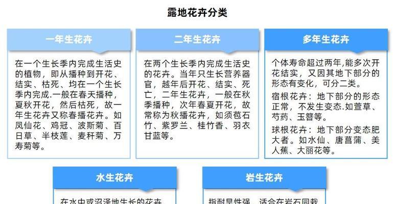 哪些花卉适合放在办公室？它们对环境有何益处？