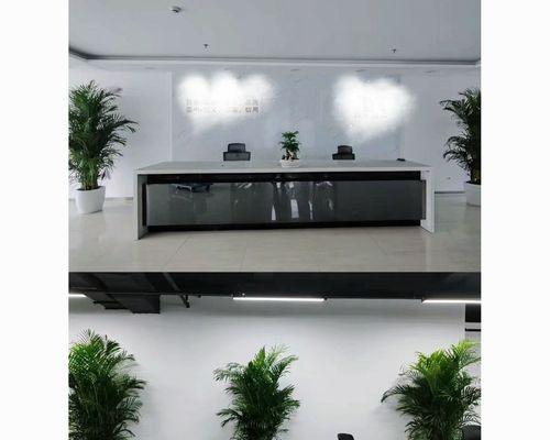 哪些花卉适合放在办公室？它们对环境有何益处？