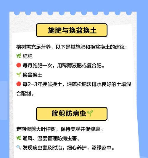 榕树怎么养殖？需要哪些条件？