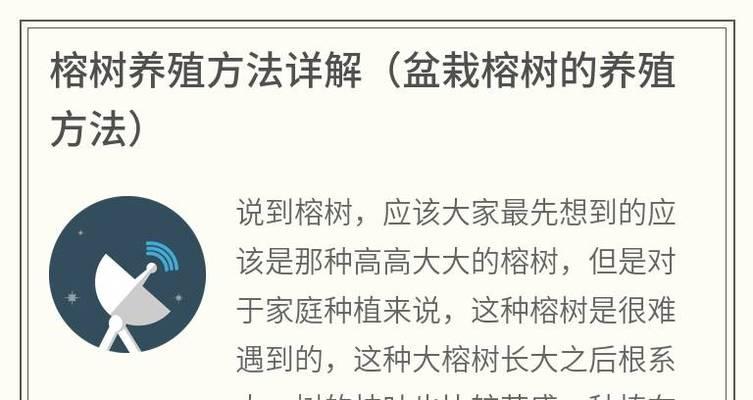 榕树怎么养殖？需要哪些条件？