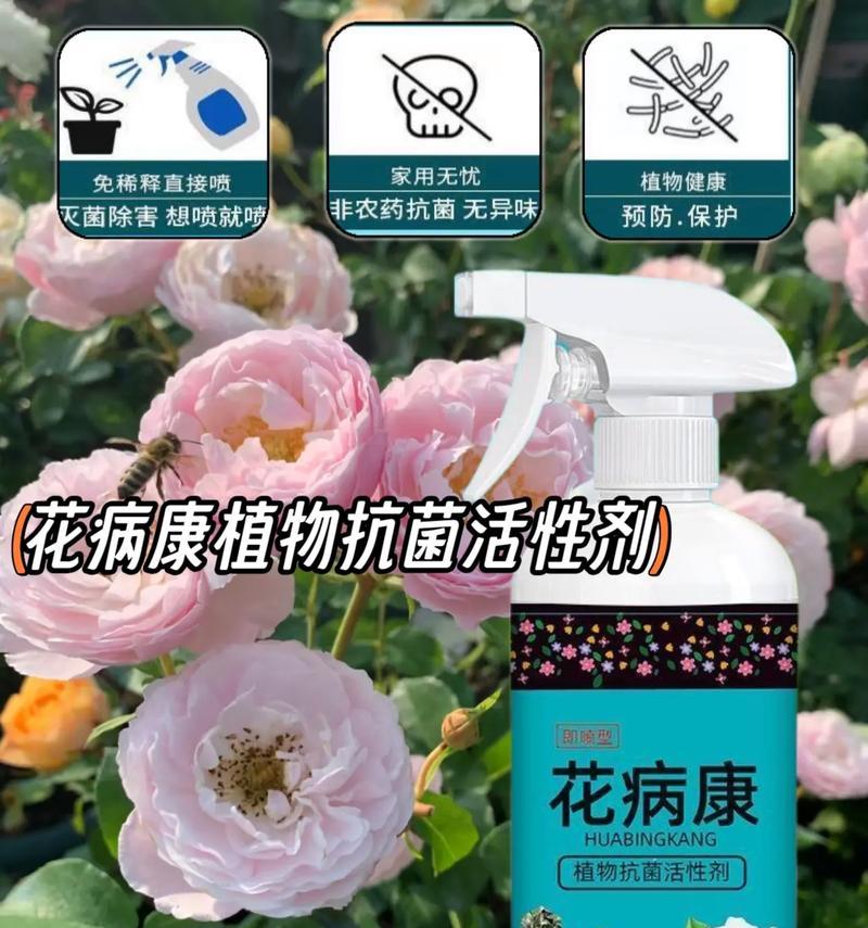 养花长虫了怎么办？有效防治方法有哪些？