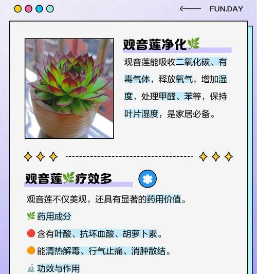 观音莲烂根的处理方法有哪些？
