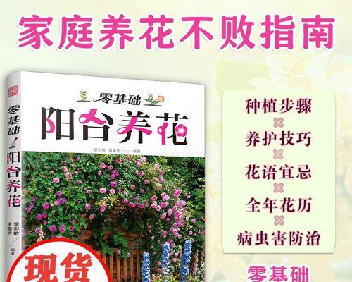 家庭园艺指南：哪些花最适合室内种植？