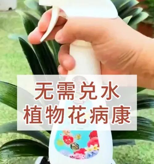 花卉养护中常见的问题有哪些？