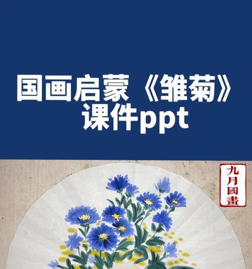 种雏菊的步骤是什么？需要特别注意哪些事项？