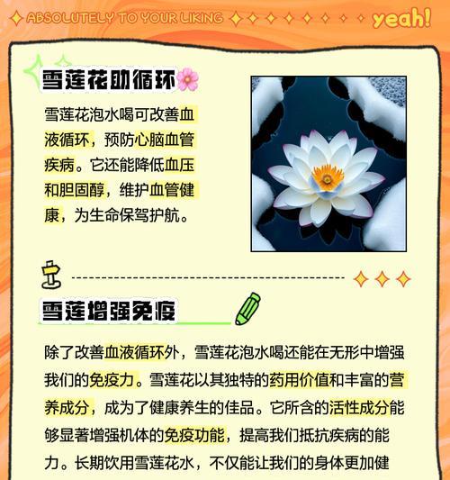 芙蓉雪莲的养殖技巧有哪些？