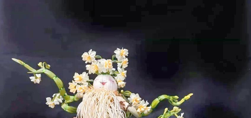 水仙花雕刻技巧？如何制作美丽的水仙花球？