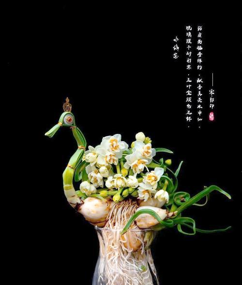 水仙花雕刻技巧？如何制作美丽的水仙花球？