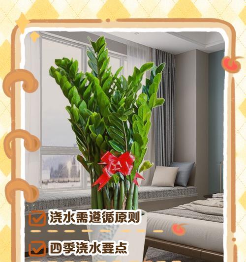 一品红浇水的正确方法是什么？