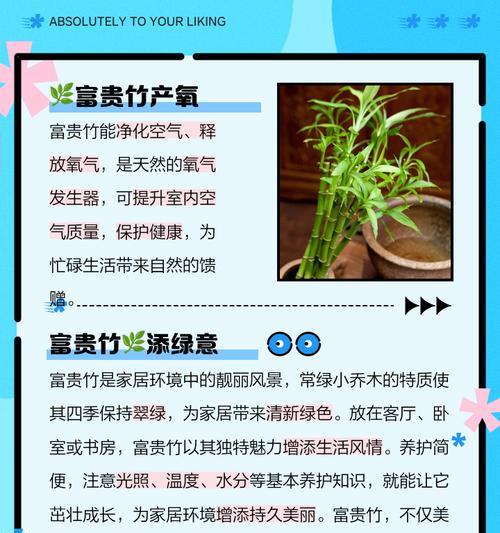 水养富贵竹的好处有哪些？如何正确水养富贵竹？