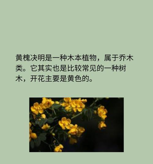 木本开花植物有哪些种类？它们的特点是什么？