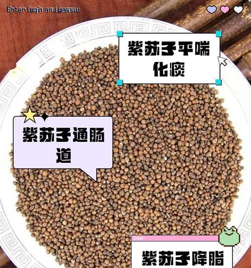 紫苏有多少种品种？不同品种的用途是什么？