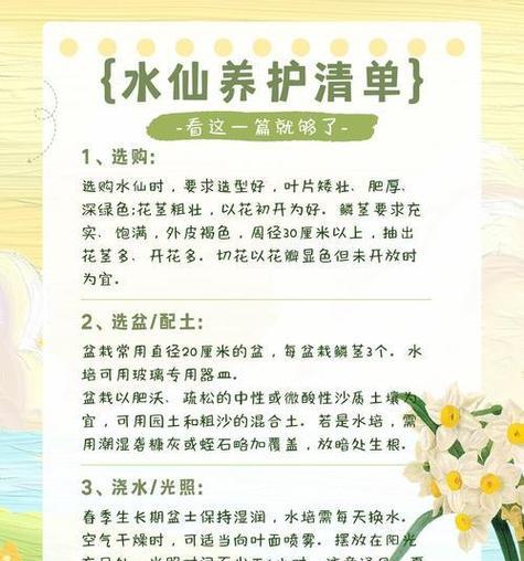 水培植物养殖的正确步骤是什么？