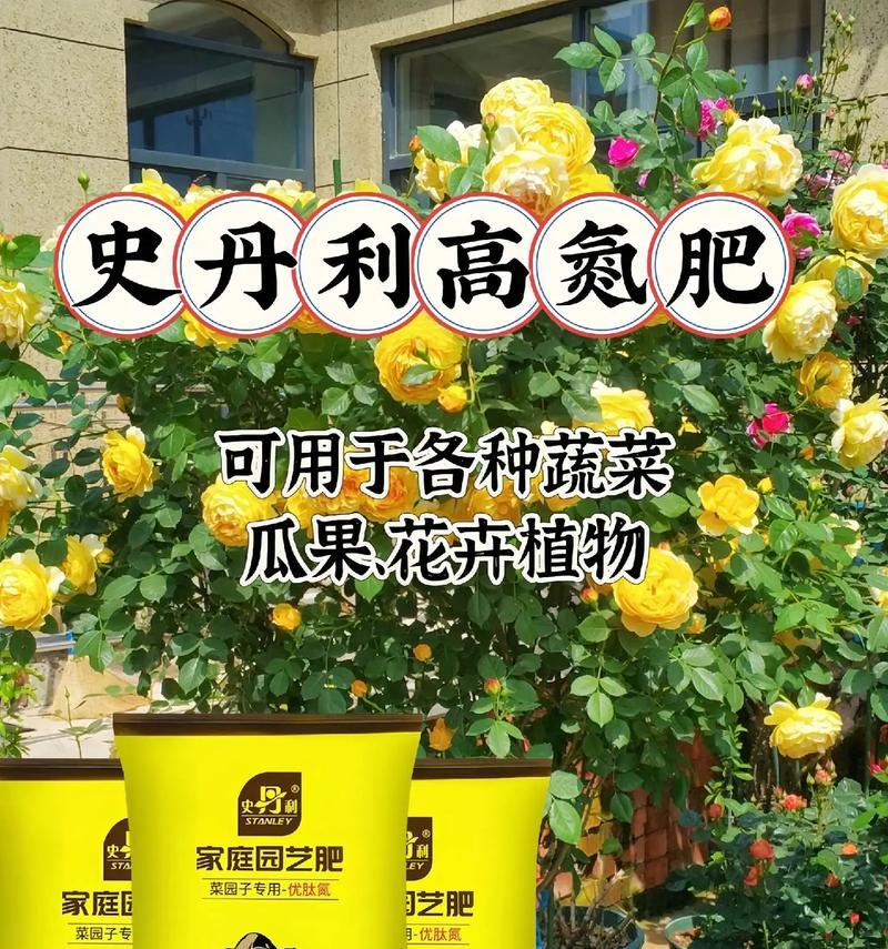 氮肥的神奇效果：氮肥对植物生长有哪些作用？