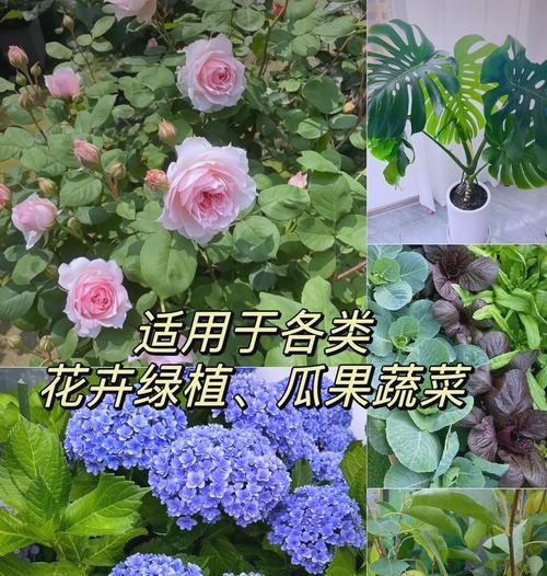 氮肥的神奇效果：氮肥对植物生长有哪些作用？