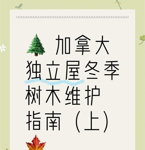 树木冬季保护措施有哪些？