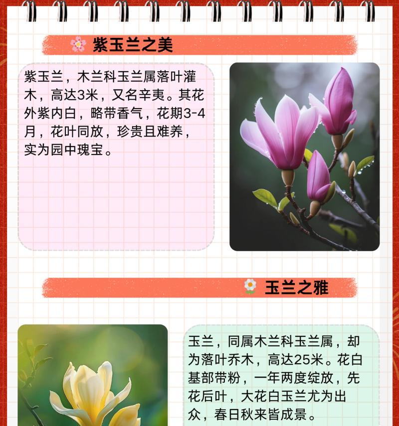 红玉兰繁殖的正确方法是什么？