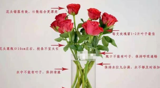 鲜花的修剪技巧是什么？如何延长鲜花的观赏期？