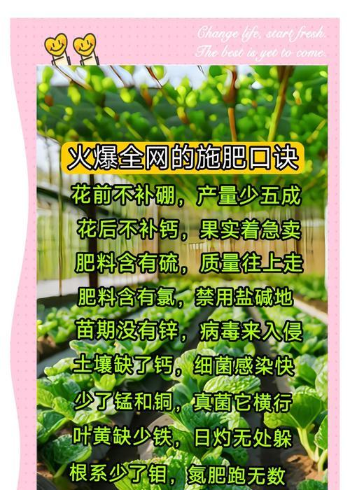 家养植物施肥的正确方法和注意事项？