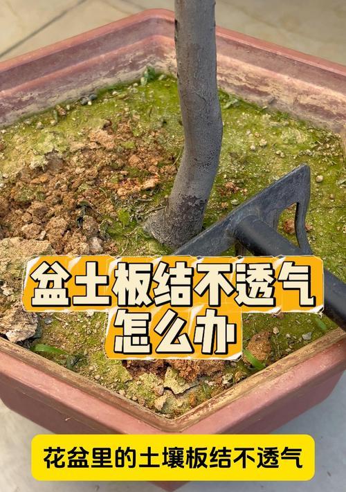 土质板结怎么办？改善土壤结构的有效方法是什么？
