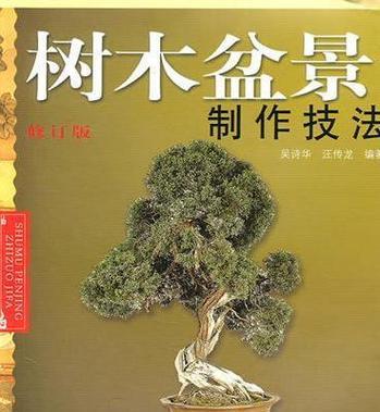 盆景制作的步骤和技巧有哪些？