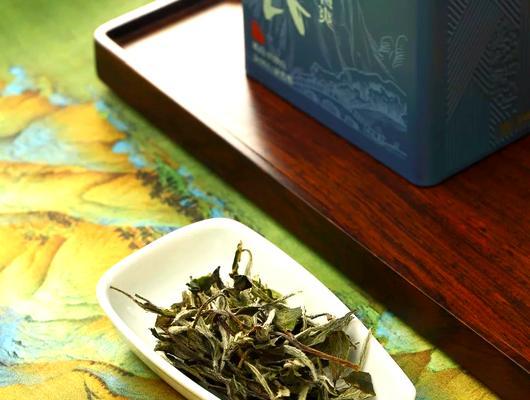 白色的牡丹有哪些品种？如何区分和选择？