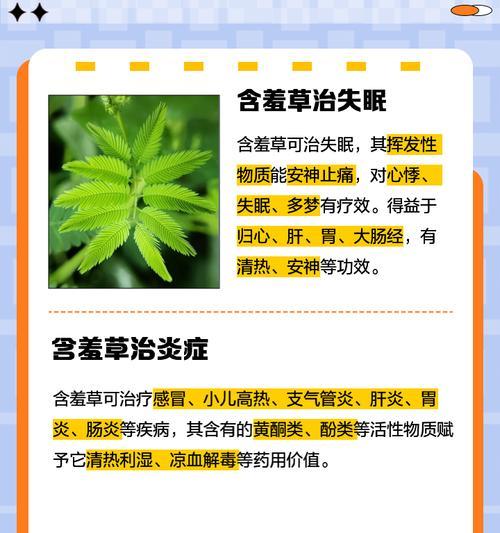 含羞草用什么肥可以使其更加敏感？
