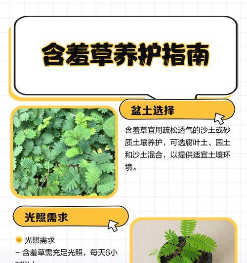 含羞草用什么肥可以使其更加敏感？