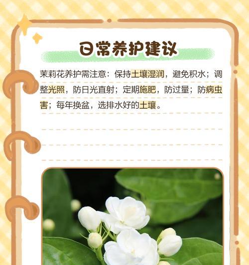 茉莉花叶子变黄的处理方法是什么？