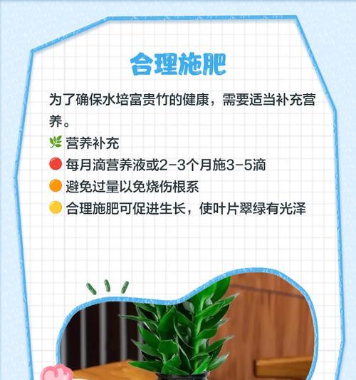 水竹旺盛生长的秘诀是什么？