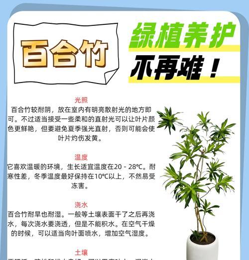 塔竹养护技巧有哪些？怎样才能长得茂盛？
