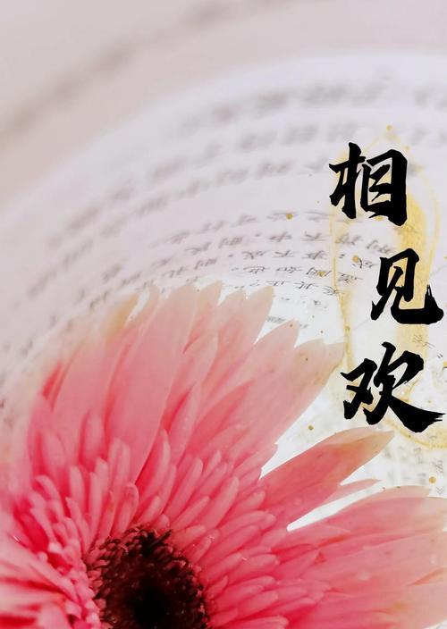 扶郎花的养殖方法和常见问题解答？