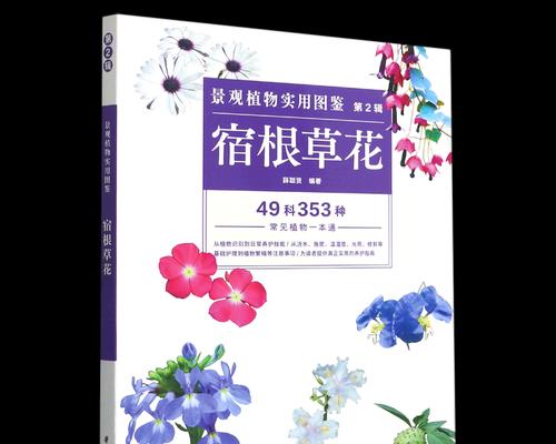 宿根草花有哪些品种？特点是什么？